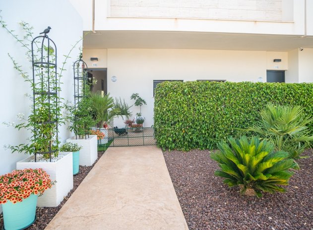 Herverkoop - Appartement - Pilar de la Horadada - Lo Romero Golf