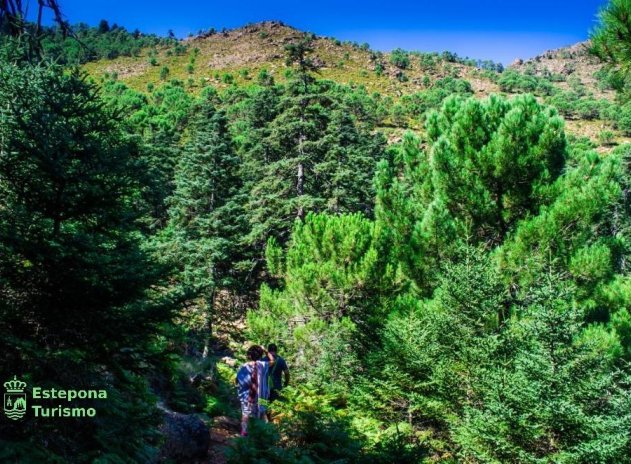 Nieuwbouw Woningen - Appartement - Estepona - Playa de La Rada