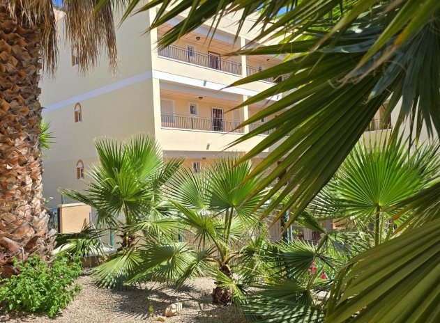 Herverkoop - Villa - Orihuela