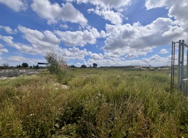 Herverkoop - Perceel - Catral