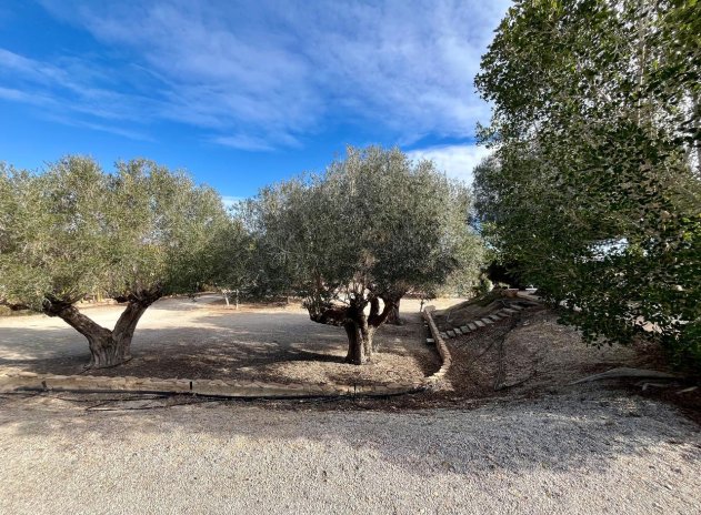 Reventa - Finca / Casa Rural - El Esparragal