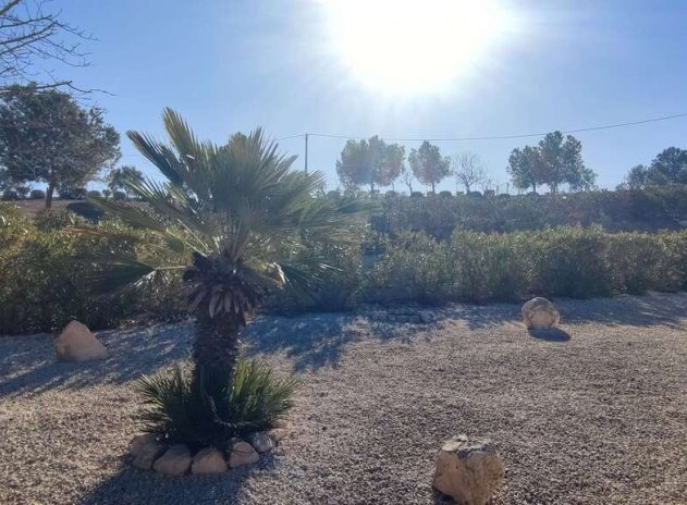 Wiederverkauf - Villa - Pinoso