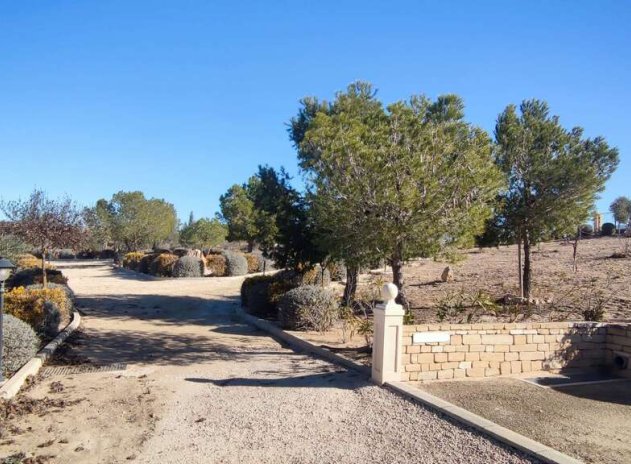 Wiederverkauf - Villa - Pinoso