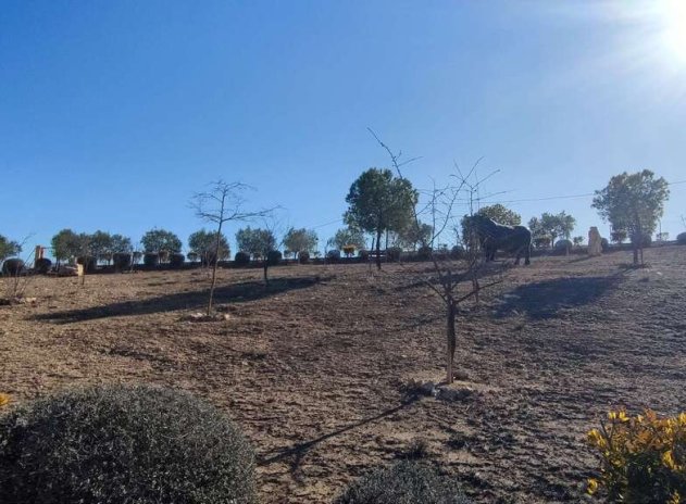 Wiederverkauf - Villa - Pinoso