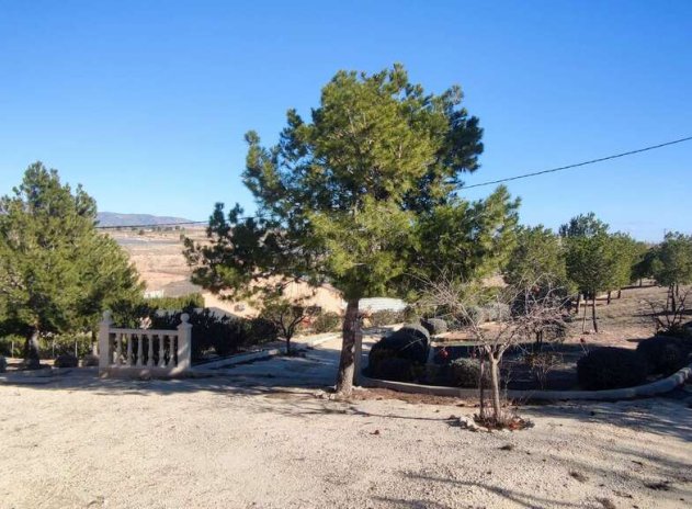 Wiederverkauf - Villa - Pinoso