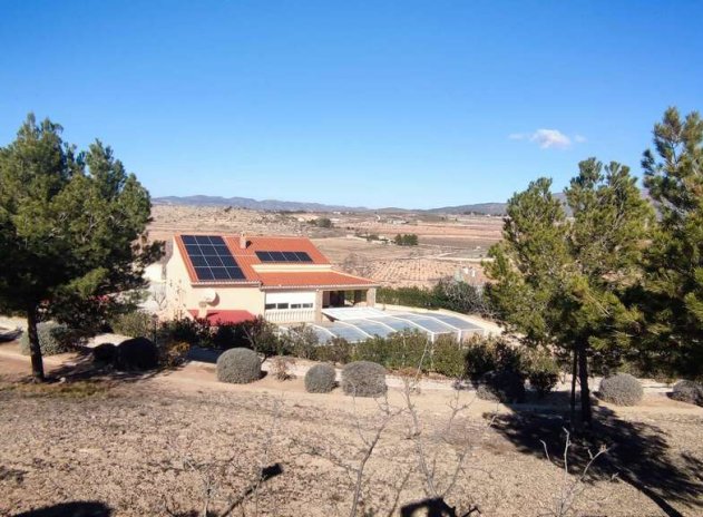 Wiederverkauf - Villa - Pinoso