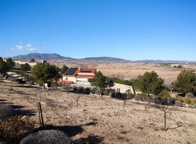 Wiederverkauf - Villa - Pinoso