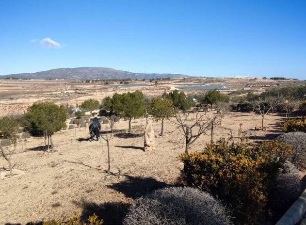 Wiederverkauf - Villa - Pinoso