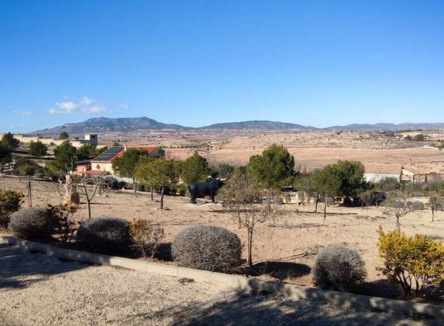 Wiederverkauf - Villa - Pinoso