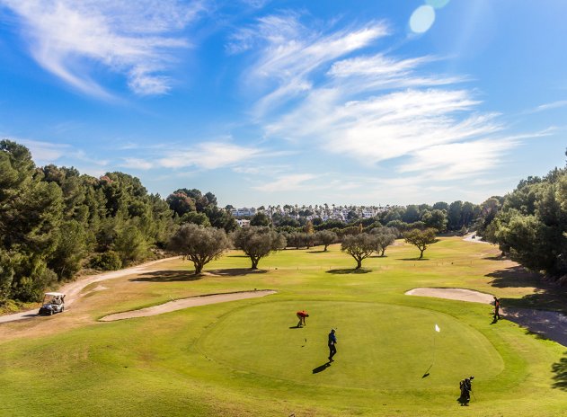 Wiederverkauf - Wohnung - Villamartin - Villamartín