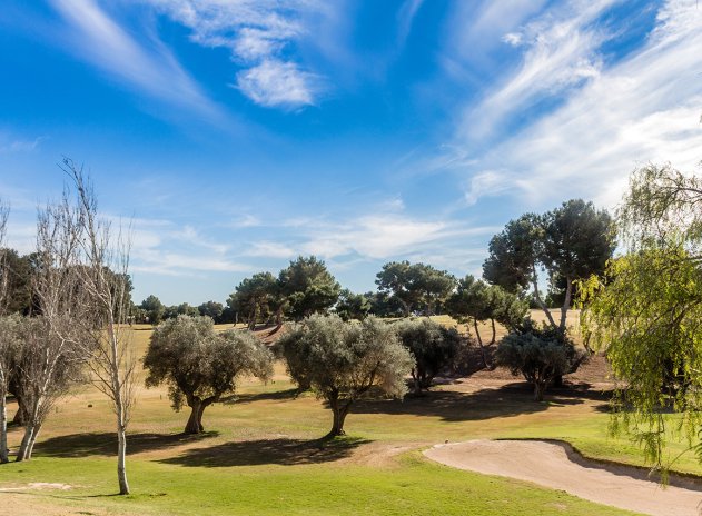 Wiederverkauf - Wohnung - Villamartin - Villamartín