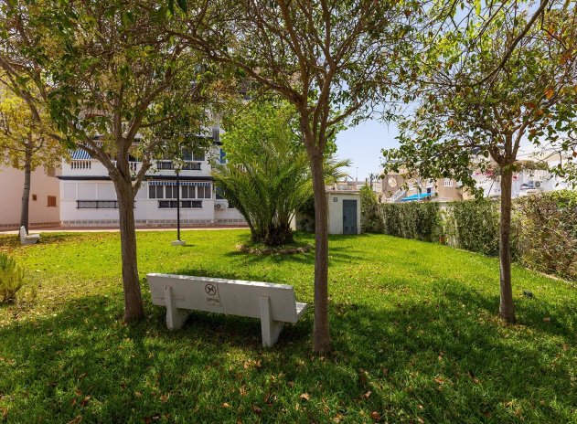 Herverkoop - Appartement - Torrevieja - La Mata