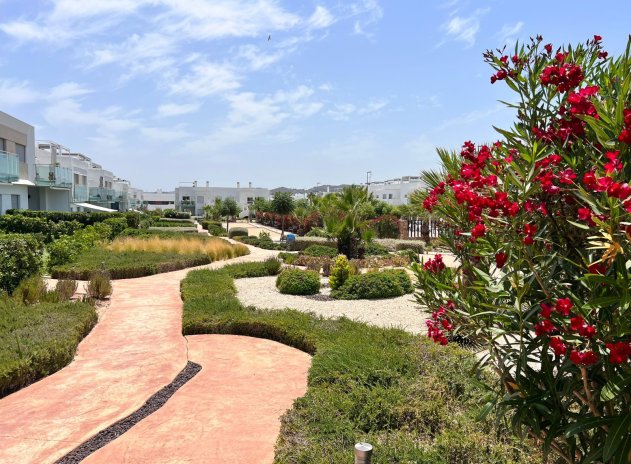 Herverkoop - Appartement - Entre Naranjo - Vistabella Golf - Vistabella Golf