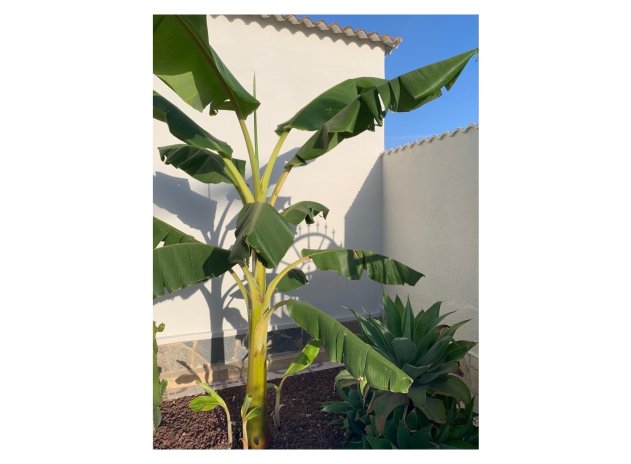 Herverkoop - Villa - Ciudad Quesada