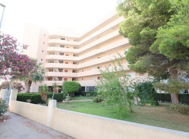 Herverkoop - Commercieel - Orihuela Costa - La Zenia