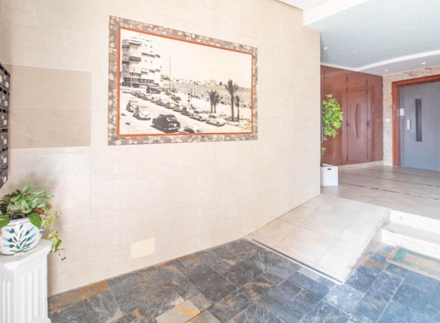 Herverkoop - Appartement - Torrevieja - Acequion