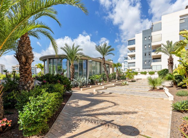 Herverkoop - Appartement - Orihuela Costa - Villamartín
