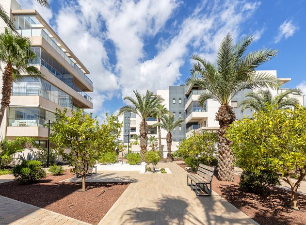 Herverkoop - Appartement - Orihuela Costa - Villamartín