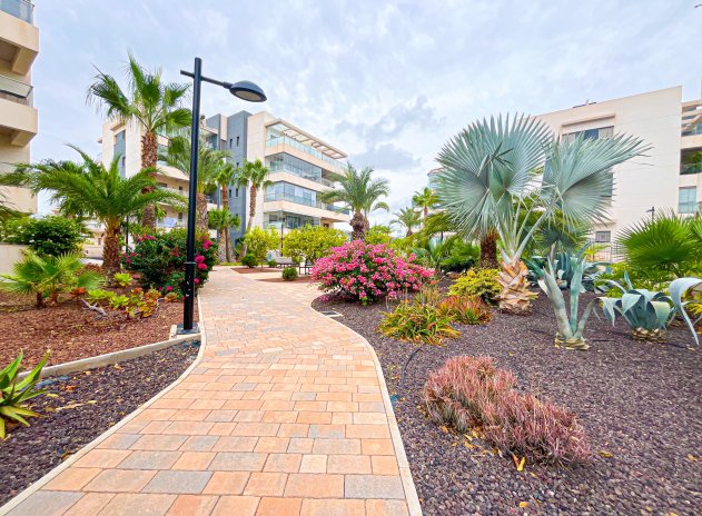 Herverkoop - Appartement - Orihuela Costa - Villamartín