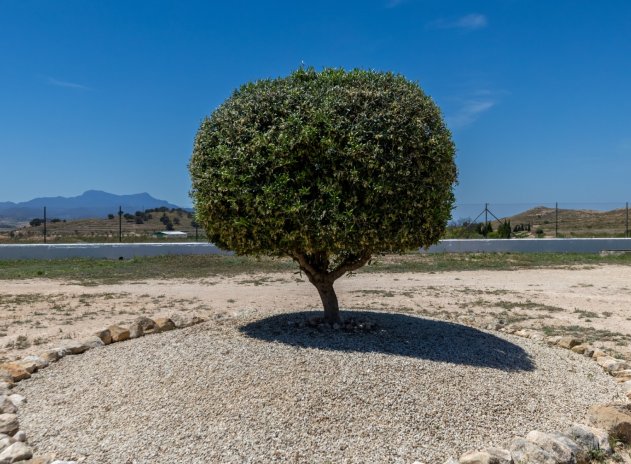 Herverkoop - Finca / Plattelands Woning - Torre Del Rico - Costa Calida