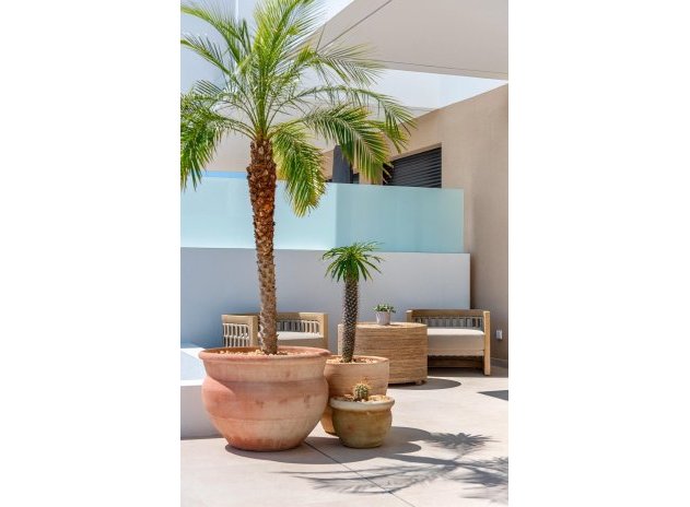 Nieuwbouw Woningen - Villa - Dolores - Sector 3