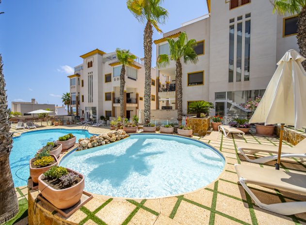 Herverkoop - Appartement - Guardamar del Segura