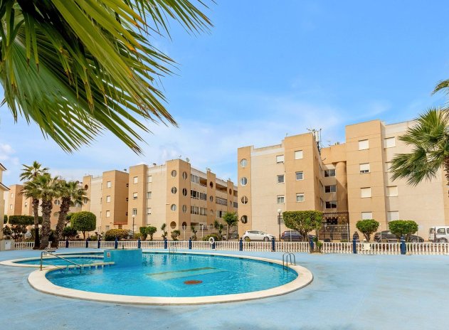 Herverkoop - Appartement - Torrevieja - San luis