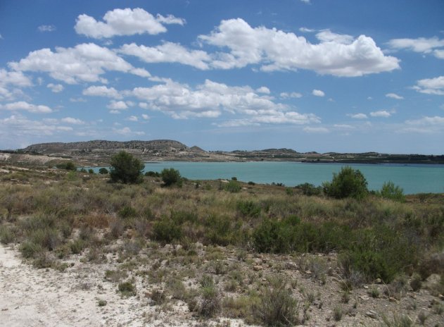 Revente - Parcelle - Torremendo