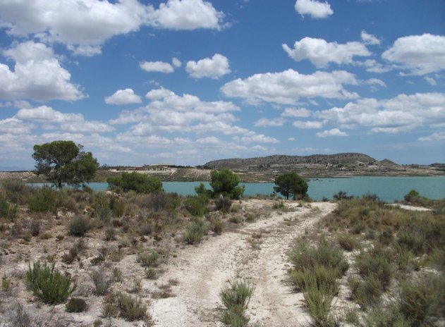 Revente - Parcelle - Torremendo