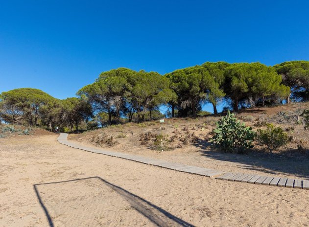 Herverkoop - Appartement - Guardamar del Segura - Urb. pinomar