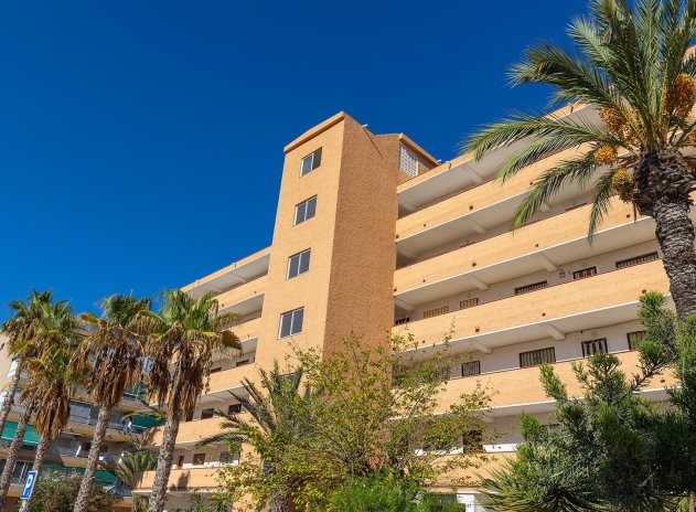 Herverkoop - Appartement - Guardamar del Segura - Urb. pinomar