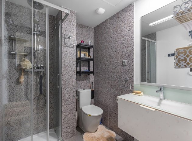 Wiederverkauf - Wohnung - La Mata - Playa