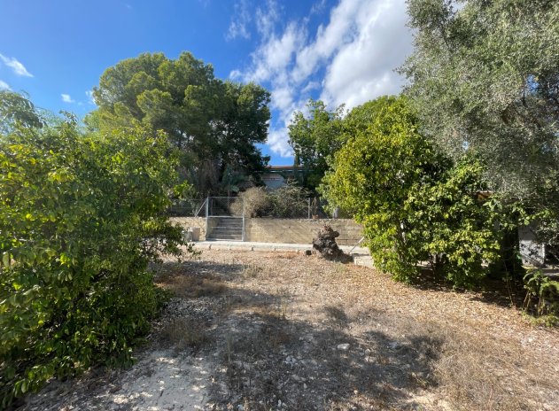 Wiederverkauf - Finca / Ländliches Wohnhaus - Albatera