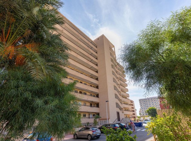 Herverkoop - Appartement - Torrevieja - La Mata