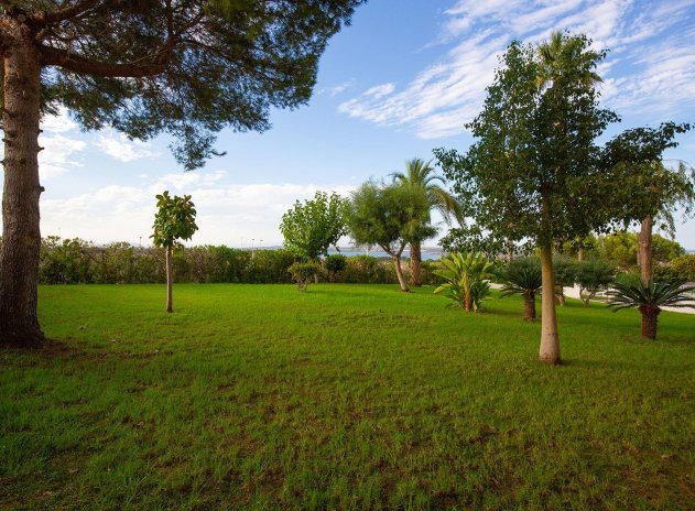 Herverkoop - Appartement - Torrevieja - Torreblanca