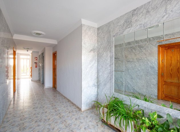 Herverkoop - Appartement - Torrevieja - Torreblanca