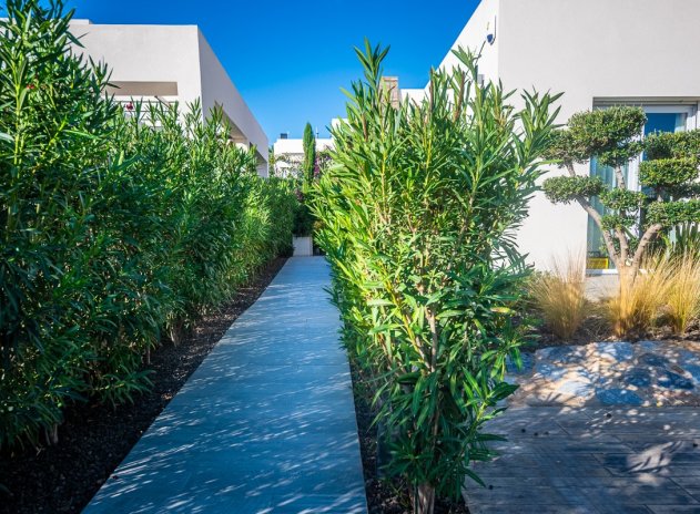 Herverkoop - Villa - Algorfa - La Finca Golf