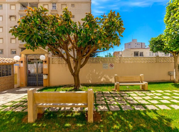 Revente - Appartement - Torrevieja