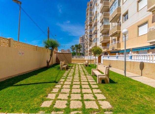Revente - Appartement - Torrevieja