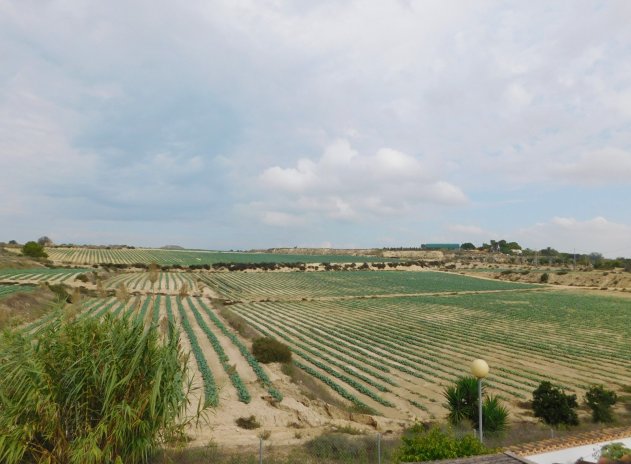 Wiederverkauf - Villa - San Miguel de Salinas