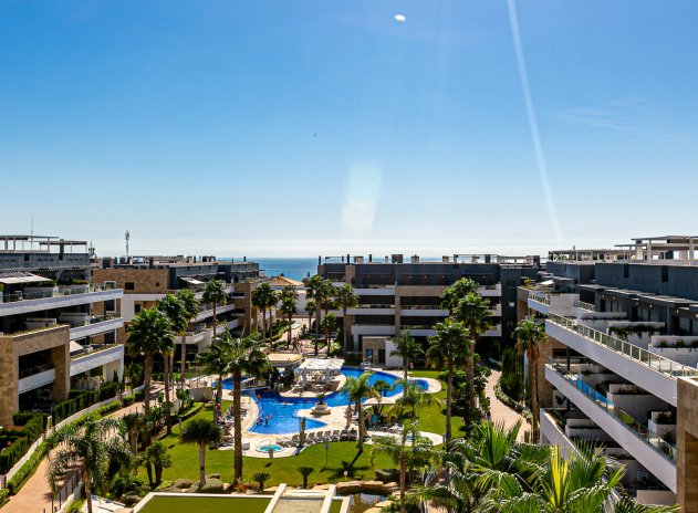 Reventa - Apartamento / Piso - Playa Flamenca