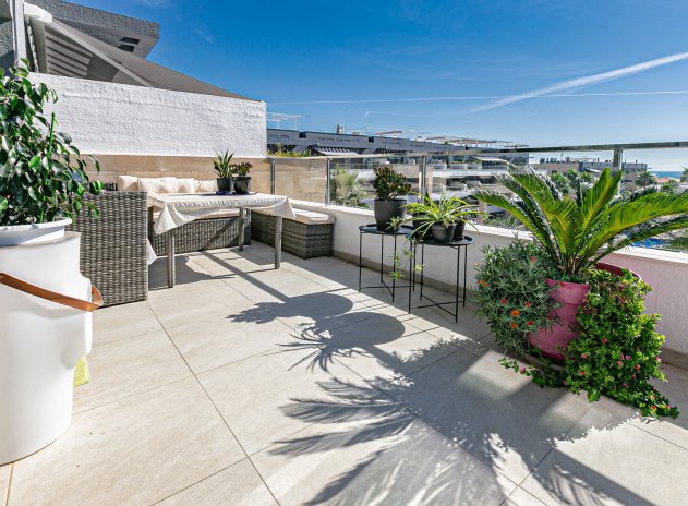 Reventa - Apartamento / Piso - Playa Flamenca