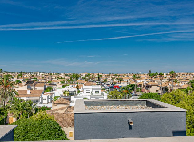 Reventa - Apartamento / Piso - Playa Flamenca