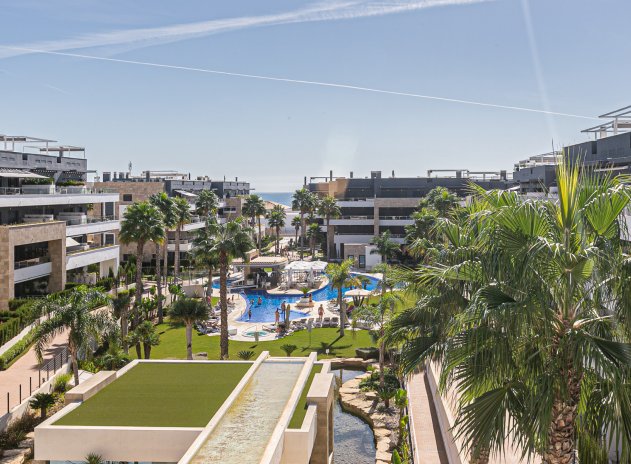 Reventa - Apartamento / Piso - Playa Flamenca