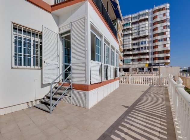 Herverkoop - Appartement - Torrevieja - Acequion