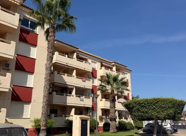 Wiederverkauf - Wohnung - La Florida