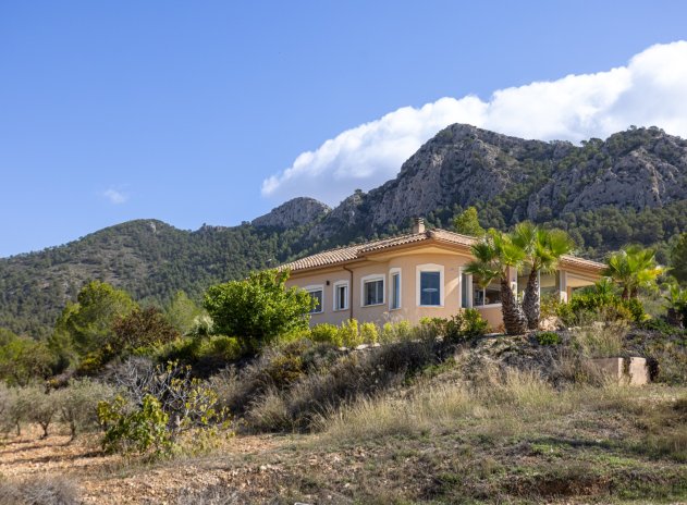 Wiederverkauf - Villa - La Zarza