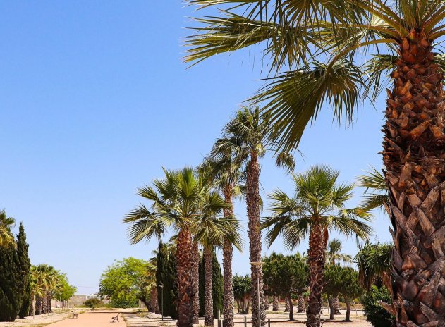 New Build - Villa * - San Fulgencio *