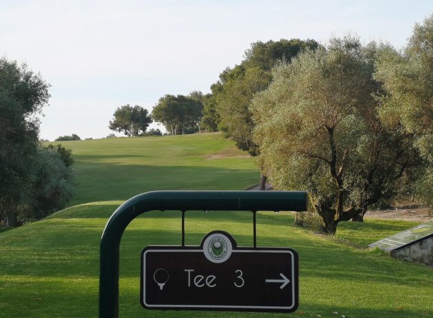 Resale - Apartment / Flat * - Playa Flamenca - Playa Flamenca *