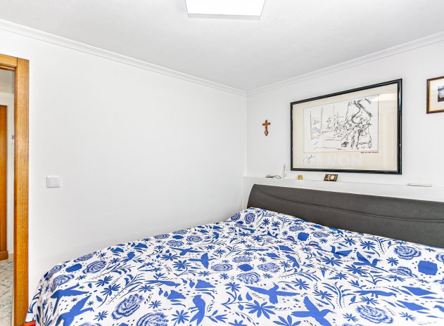 Reventa - Casa adosada - Guardamar del Segura